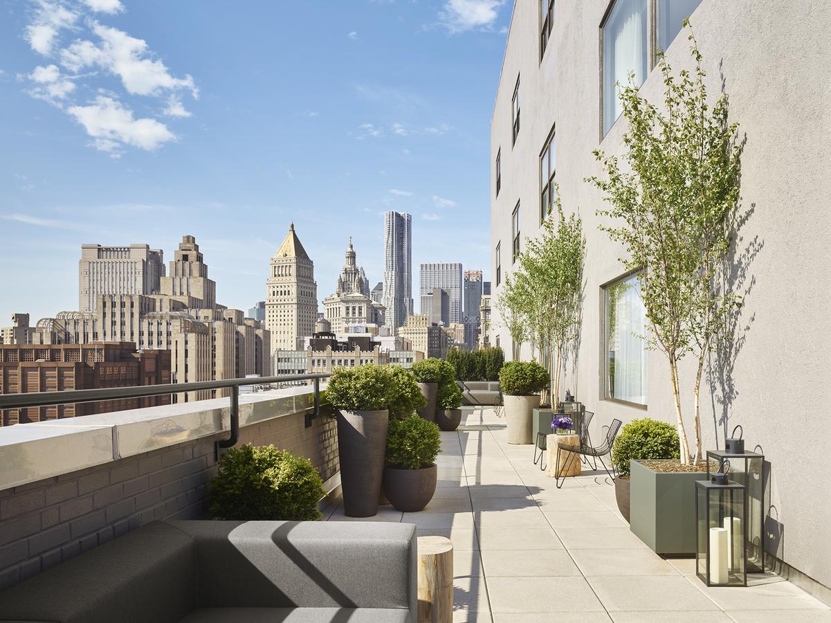 Suite with Terrace
